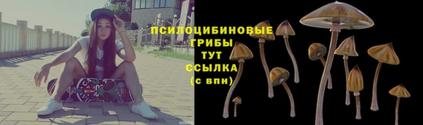 экстази Богданович